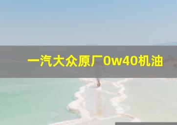 一汽大众原厂0w40机油