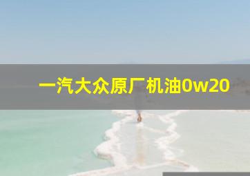 一汽大众原厂机油0w20