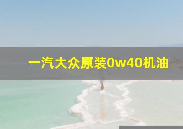 一汽大众原装0w40机油