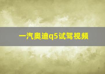 一汽奥迪q5试驾视频