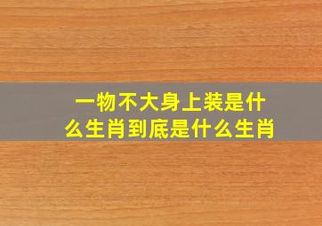 一物不大身上装是什么生肖到底是什么生肖