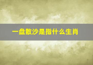 一盘散沙是指什么生肖