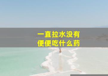 一直拉水没有便便吃什么药