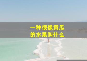 一种很像黄瓜的水果叫什么