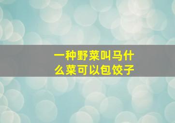 一种野菜叫马什么菜可以包饺子