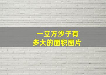 一立方沙子有多大的面积图片