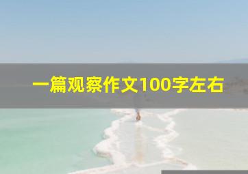 一篇观察作文100字左右