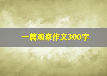 一篇观察作文300字