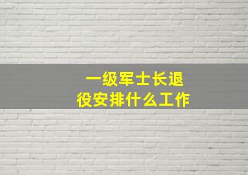 一级军士长退役安排什么工作