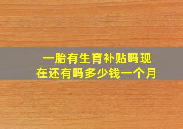 一胎有生育补贴吗现在还有吗多少钱一个月