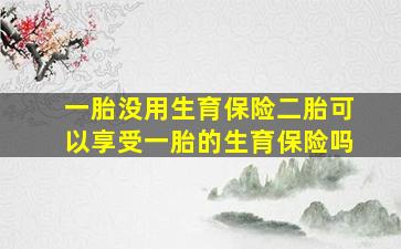 一胎没用生育保险二胎可以享受一胎的生育保险吗