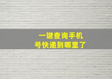 一键查询手机号快递到哪里了