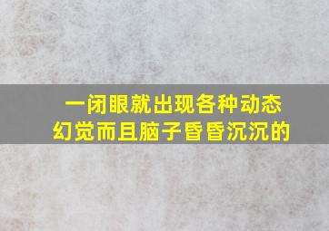 一闭眼就出现各种动态幻觉而且脑子昏昏沉沉的