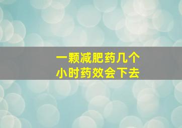 一颗减肥药几个小时药效会下去