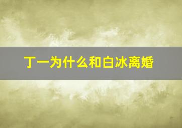 丁一为什么和白冰离婚