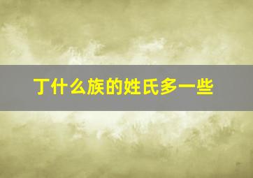 丁什么族的姓氏多一些