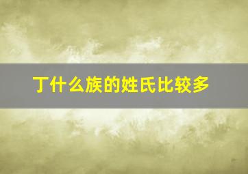 丁什么族的姓氏比较多