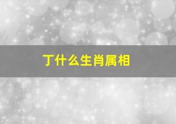 丁什么生肖属相