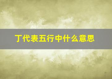 丁代表五行中什么意思