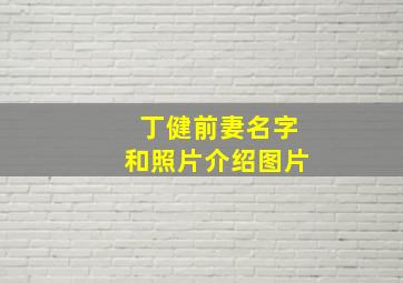 丁健前妻名字和照片介绍图片