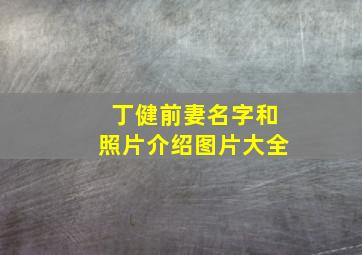 丁健前妻名字和照片介绍图片大全