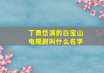 丁勇岱演的白宝山电视剧叫什么名字