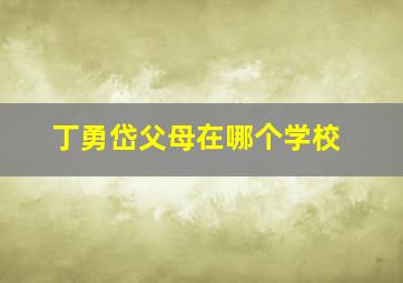 丁勇岱父母在哪个学校