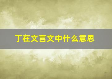 丁在文言文中什么意思