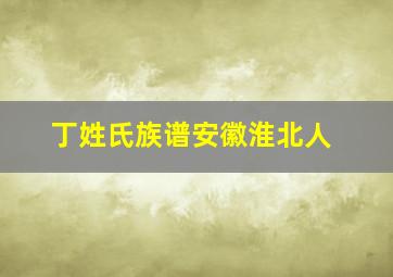 丁姓氏族谱安徽淮北人