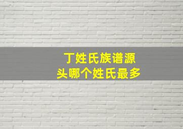 丁姓氏族谱源头哪个姓氏最多