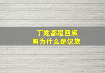 丁姓都是回族吗为什么是汉族