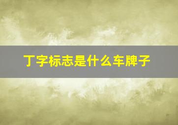 丁字标志是什么车牌子