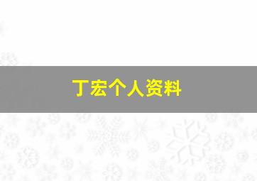 丁宏个人资料