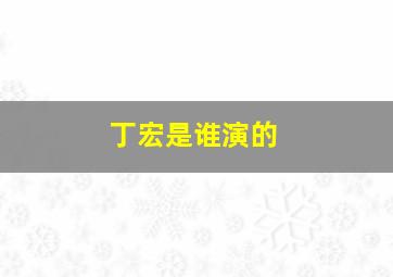 丁宏是谁演的