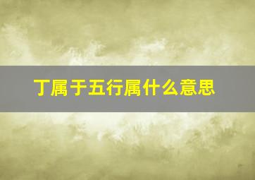 丁属于五行属什么意思