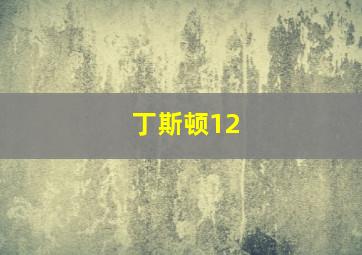 丁斯顿12