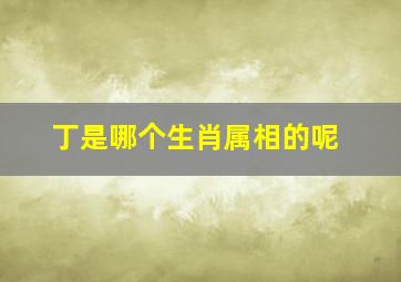 丁是哪个生肖属相的呢