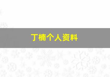 丁楠个人资料