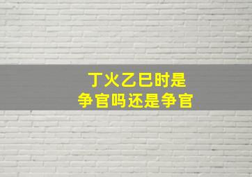 丁火乙巳时是争官吗还是争官