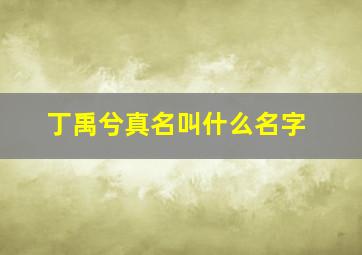 丁禹兮真名叫什么名字