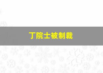 丁院士被制裁