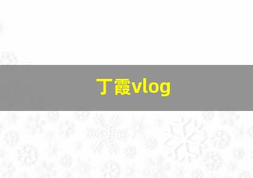 丁霞vlog