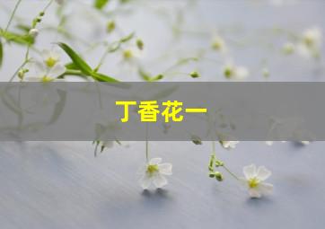 丁香花一