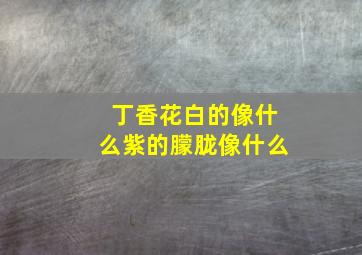 丁香花白的像什么紫的朦胧像什么