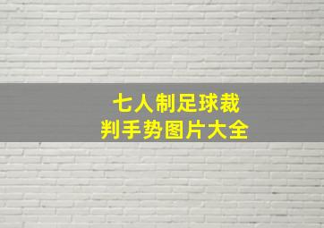 七人制足球裁判手势图片大全