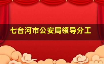 七台河市公安局领导分工