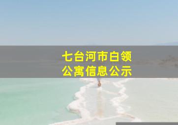 七台河市白领公寓信息公示