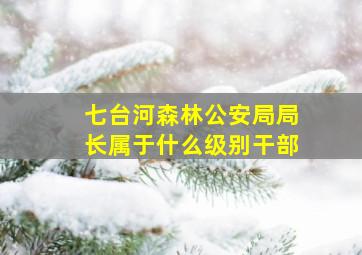 七台河森林公安局局长属于什么级别干部