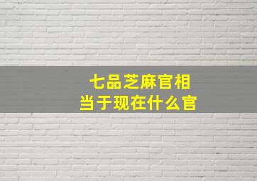 七品芝麻官相当于现在什么官