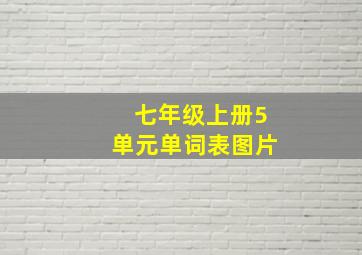 七年级上册5单元单词表图片